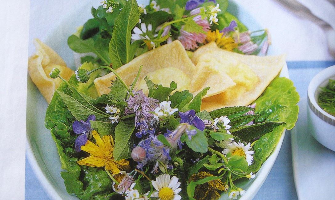 Wiesenkräuterführung (c)Lous Slob