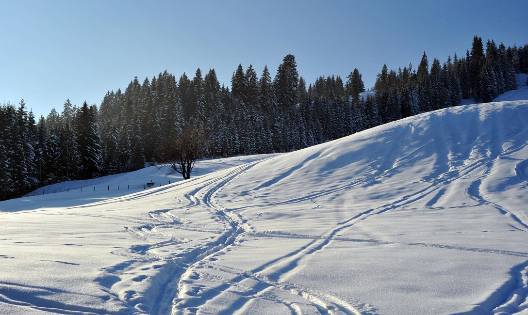 Winterwanderung @Dabernig