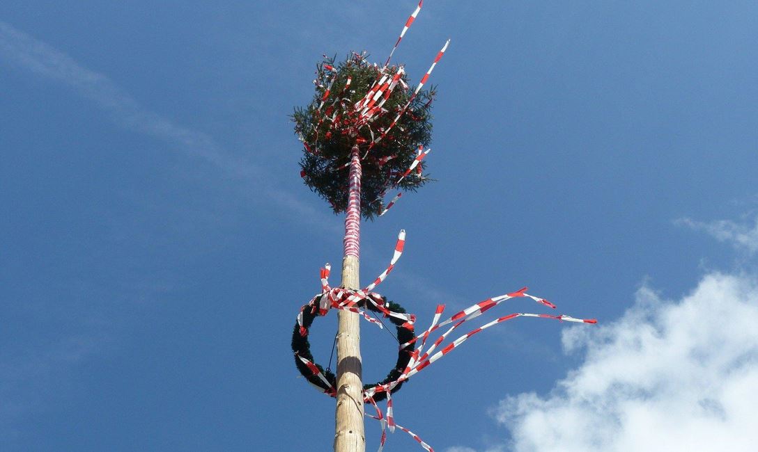 Maibaum