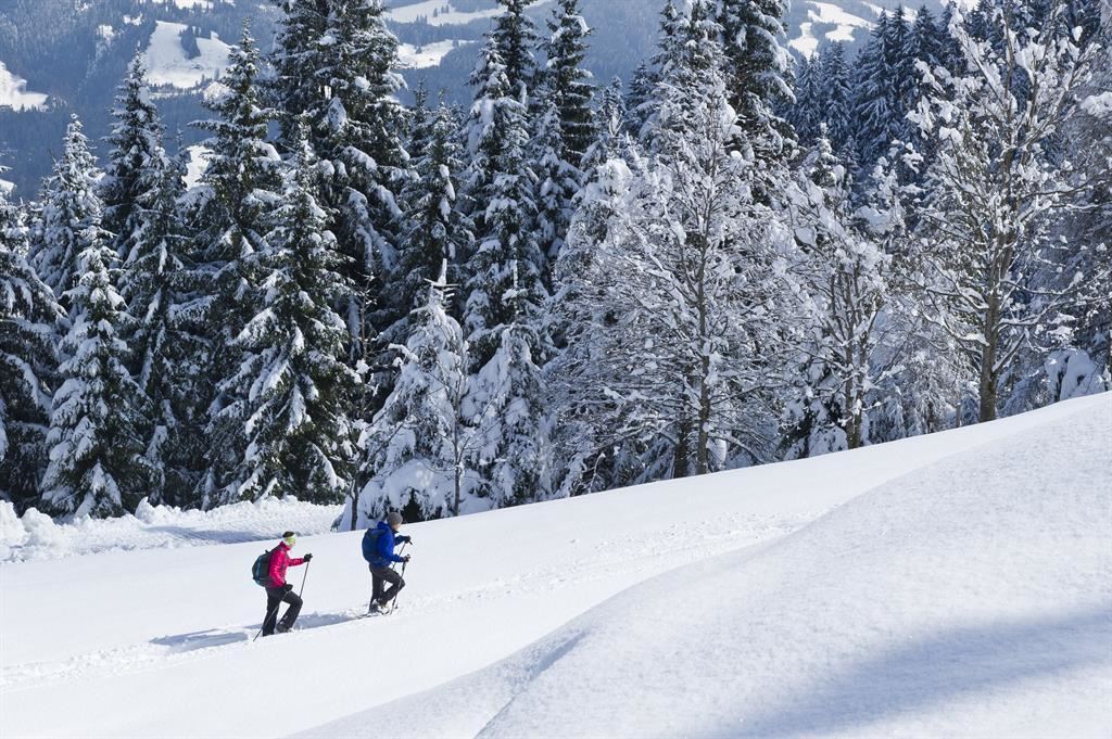 Schneeschuhwanderer