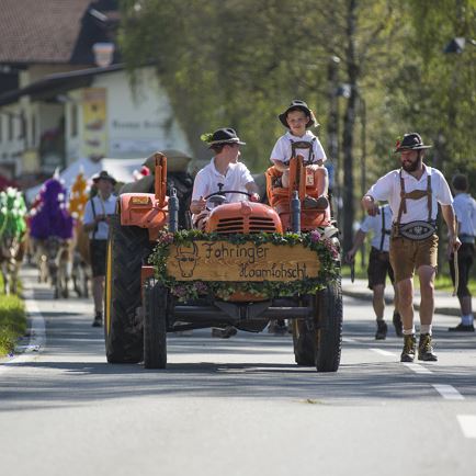 cattle drive at the Fohringerhof