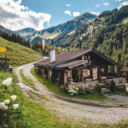 Almwanderung  Brixen