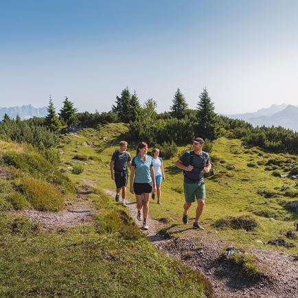 Unterwegs auf naturbelassenen Wanderwegen in Brixen