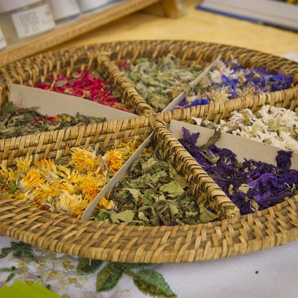 Herbal Workshop with Herb Fairy Sonja - Workshop in German