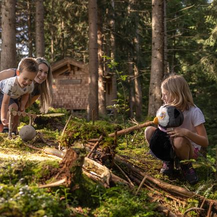 Familien- und Kinderprogramm: Abenteuer Wald