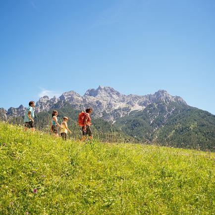 Guided Tour- 'The Buchensteinwand - views from above and below'