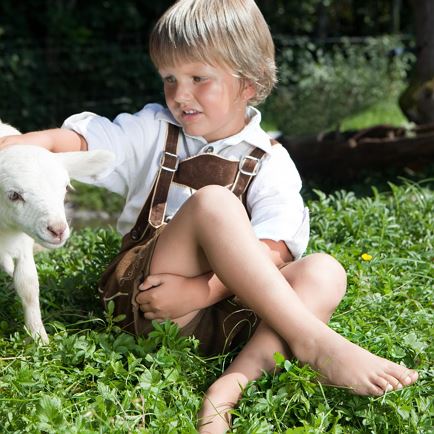 Farm experience for young and old