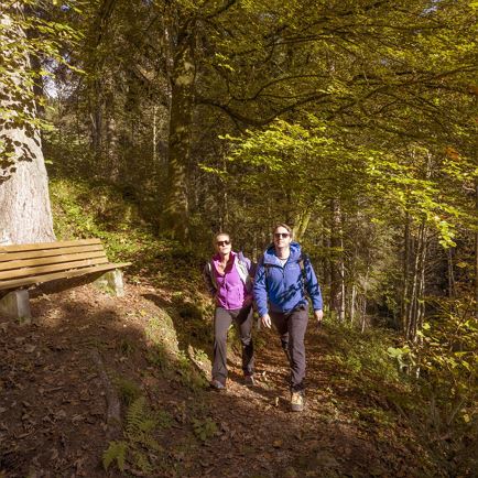 Op het spoor van de natuur - de bos-avonturentocht