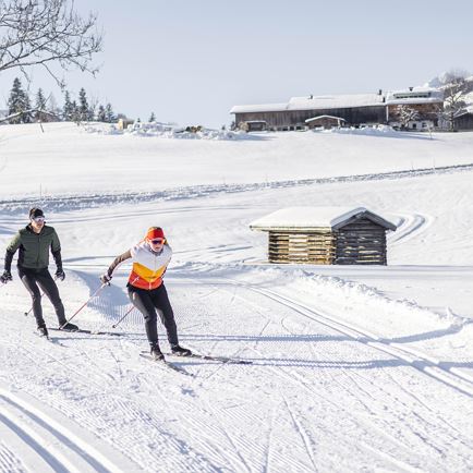 Cross-country skiing taster course