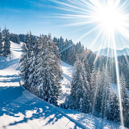 Panoramic hike on the sunny side of the Hohe Salve