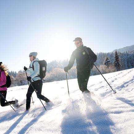 Snowshoe tour in Hopfgarten 