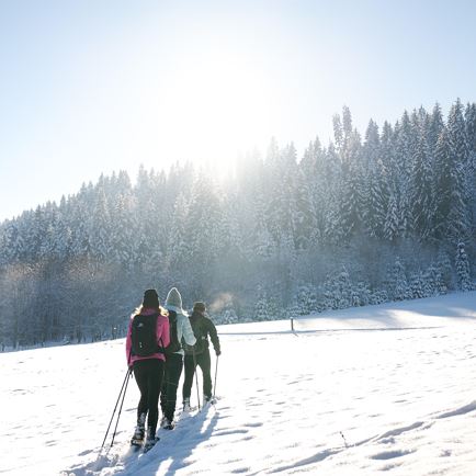 Sneeuwschoenwandeling in Hopfgarten/Kelchsau