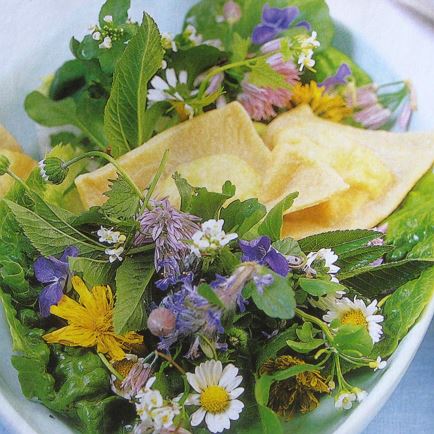 Von Natur aus g’sund - Wiesenkräuterführung in Hopfgarten