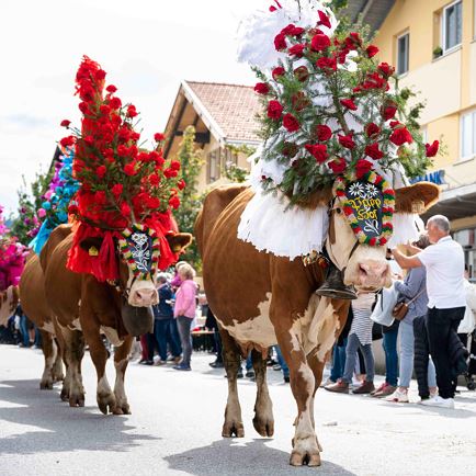 Almabtrieb in Itter