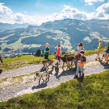 Familiedag: 'Goas' Trekking met speurtocht