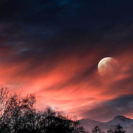 FIND YOUR FLOW with Snowshoe Hiking