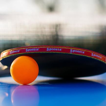 Table tennis gala with Werner Schlager