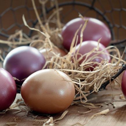 Easter Egg Shooting Oberndorf