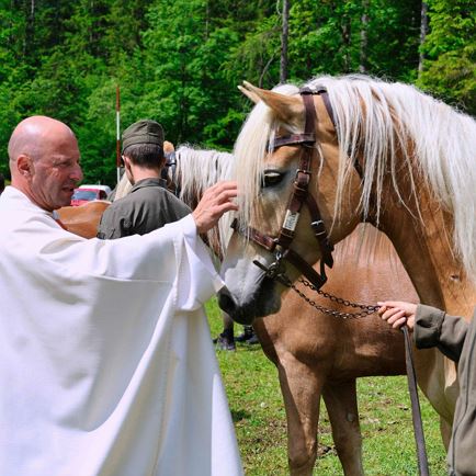 Horse pilgrimage 2025