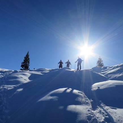 Schneeschuhwanderung auf der Steinplatte  mit Lisa