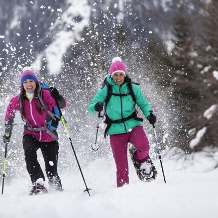 Schneeschuhwanderung mit Lisa