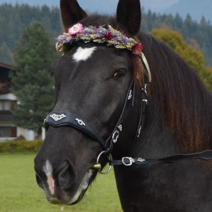 1st St George's Ride St. Johann in Tirol