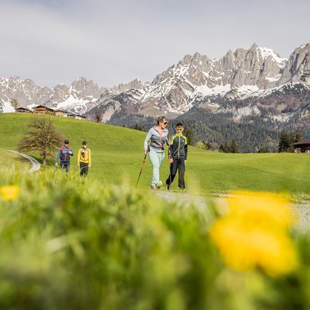 Spring Hike 'On the Trail of Happiness'