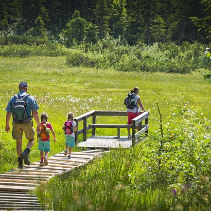 Begeleide wandeling: “Moor & more - de gezins- en heidewandeling”.