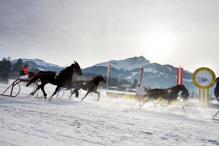 CANCELLED: Int'l Stefani Horse Sleigh Race