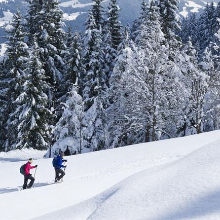 Keizerlijke Bijeenkomst: Sneeuwschoentocht aan de Voet van de Wilder Kaiser