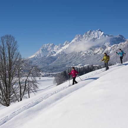 Schneeschuhwanderung 'Dem Glück auf der Spur'