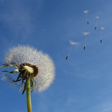 Vortrag: Kinder trauern anders