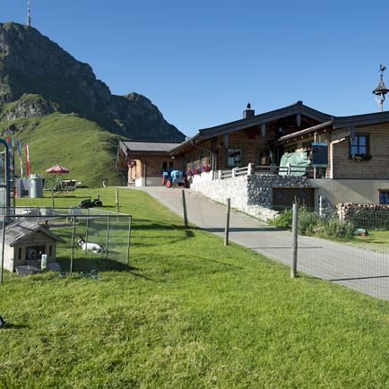 Hike to the Alm Fest at Harschbichlalm