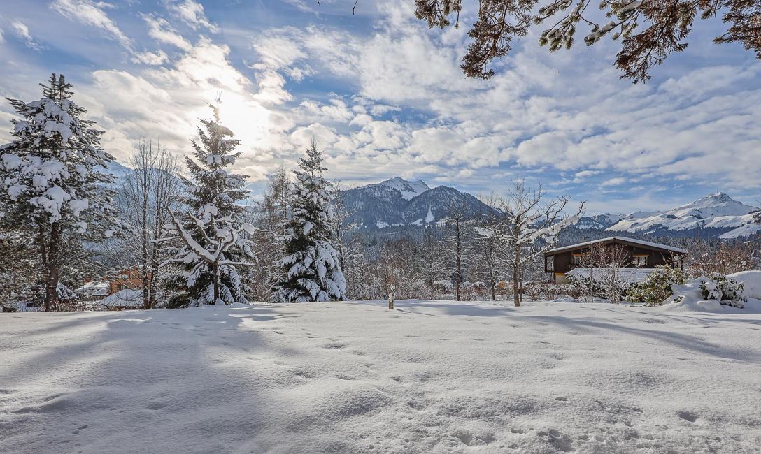 Garten mit Blick auf das Kitzbüheler Horn