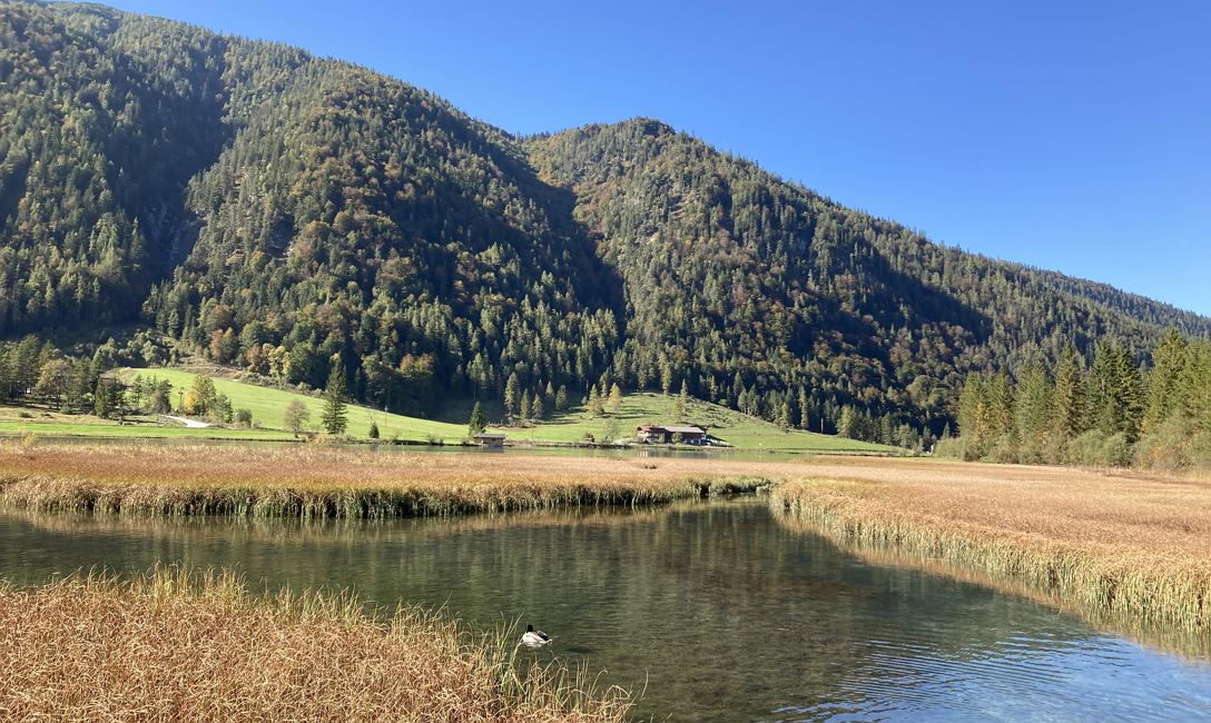 Herbstspaziergang am Pillersee