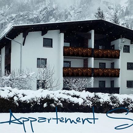 Appartement Seidner 2