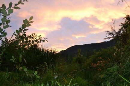 Sonnenuntergang Teich