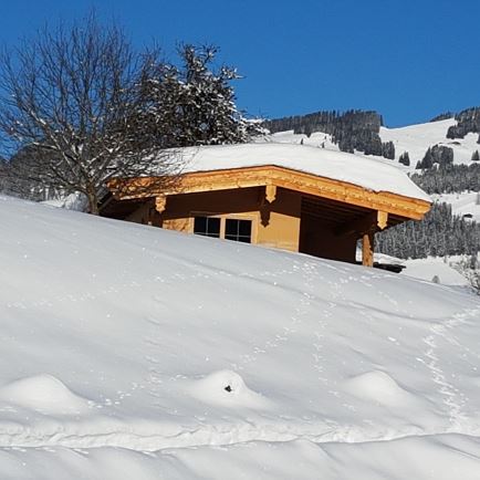 Chalet Kitzbüheler Alpen