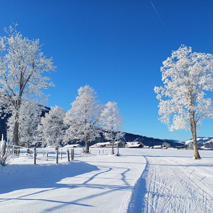 Winterlandschaft