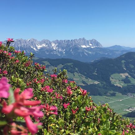 Wanderurlaub inkl. Kitzbühler Alpen SommerCard