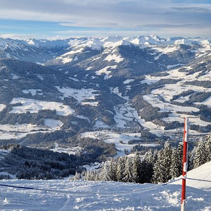 Hohe Salve mit Blick auf Hopfgarten, Bergrose