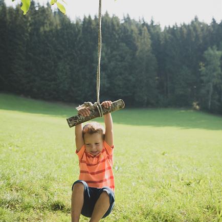 Unsere Schaukel unterm Nussbaum ist sehr beliebt.