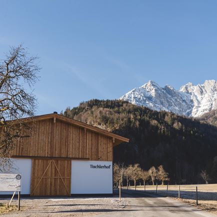 Tischlerhof Wilder Kaiser Kirchdorf in Tirol