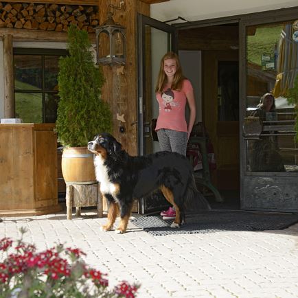 Hundeparadies Müllneralm Oberndorf in Tirol