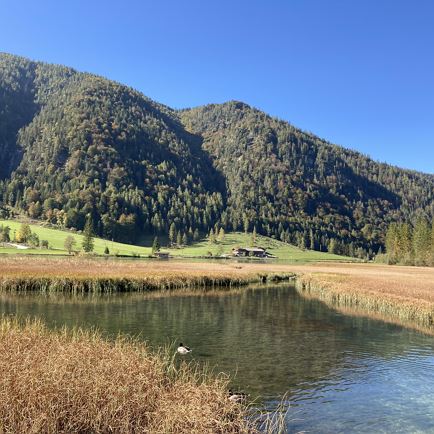 Ferienwohnungen Alpinholiday