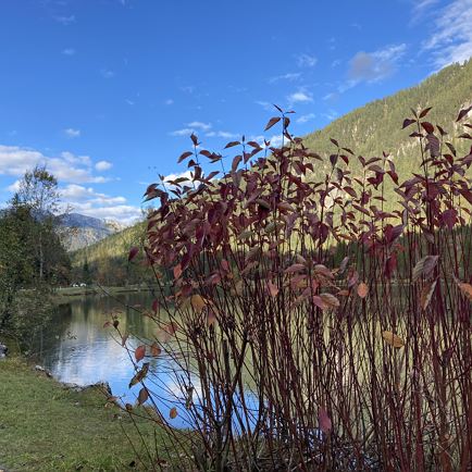 Wunderbar im Herbst am See