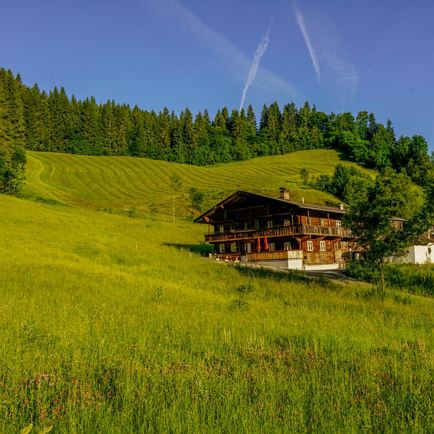 Großmutters Haus - Hausansicht im Juni