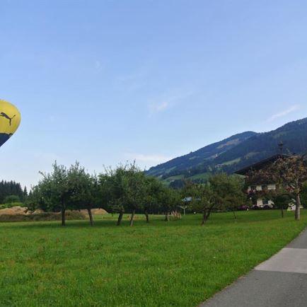 BVB bei uns am Hof