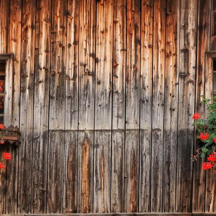 Fenster mit Blumen