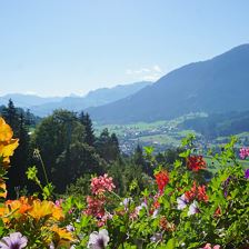 Aussicht vom Balkon